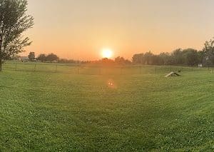 Crown Point Dog Park