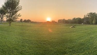 Crown Point Dog Park