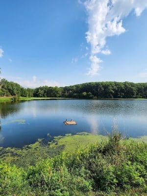 Lemon Lake County Park