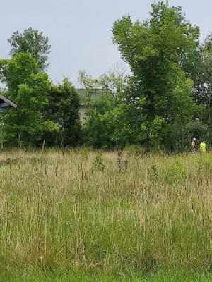 Lemon Lake County Park