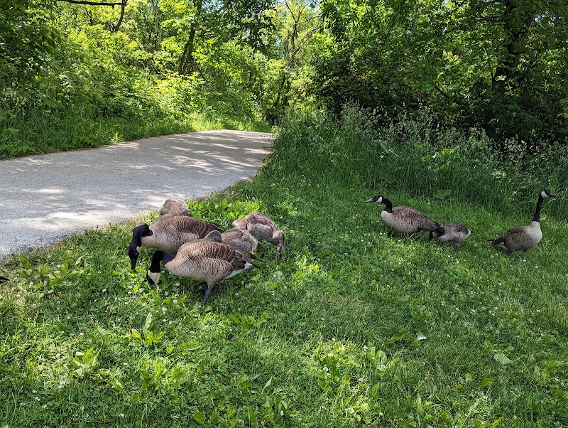 Lemon Lake County Park - Crown Point, IN