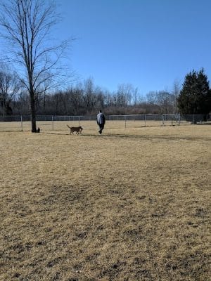 Hound Town Dog Park