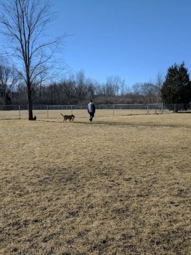 Hound Town Dog Park