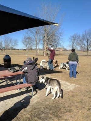 Hound Town Dog Park