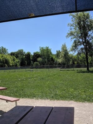 Hound Town Dog Park