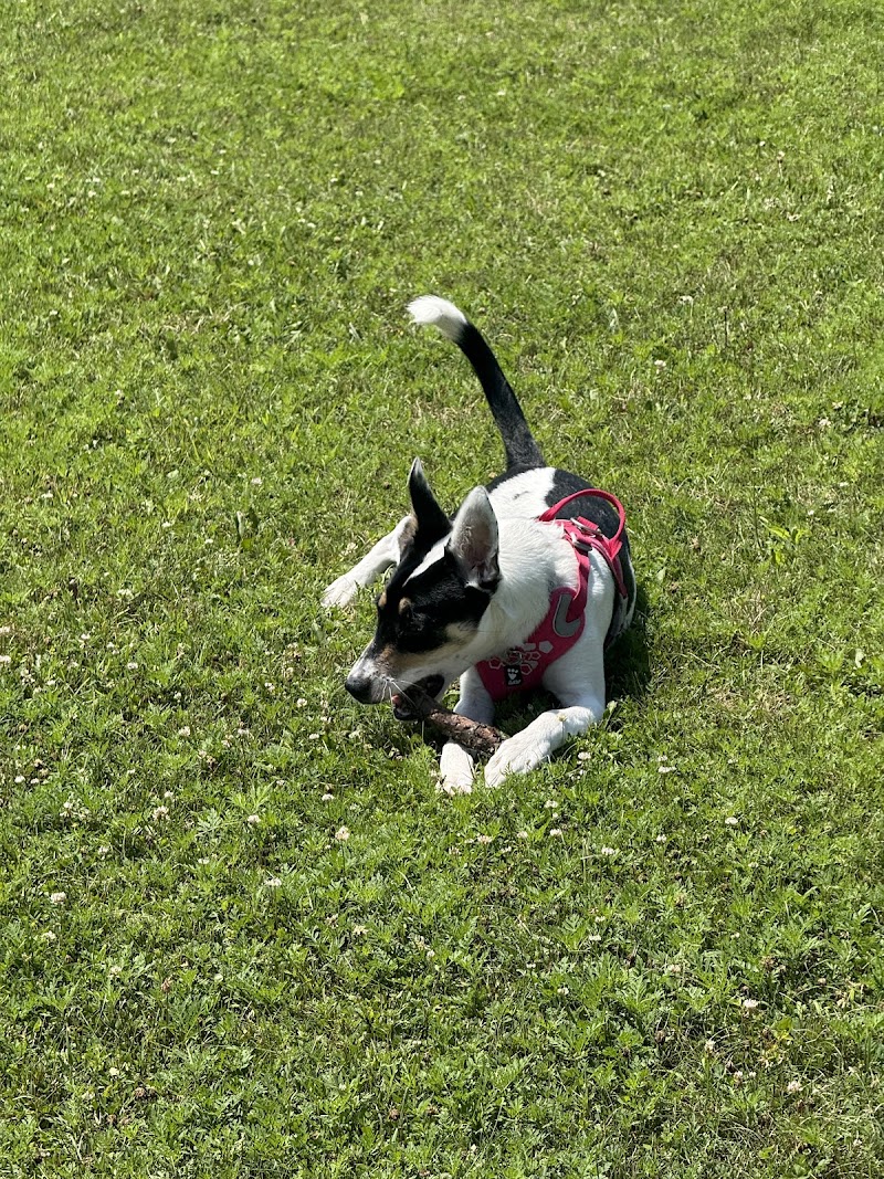 Hound Town Dog Park - Crystal Lake, IL