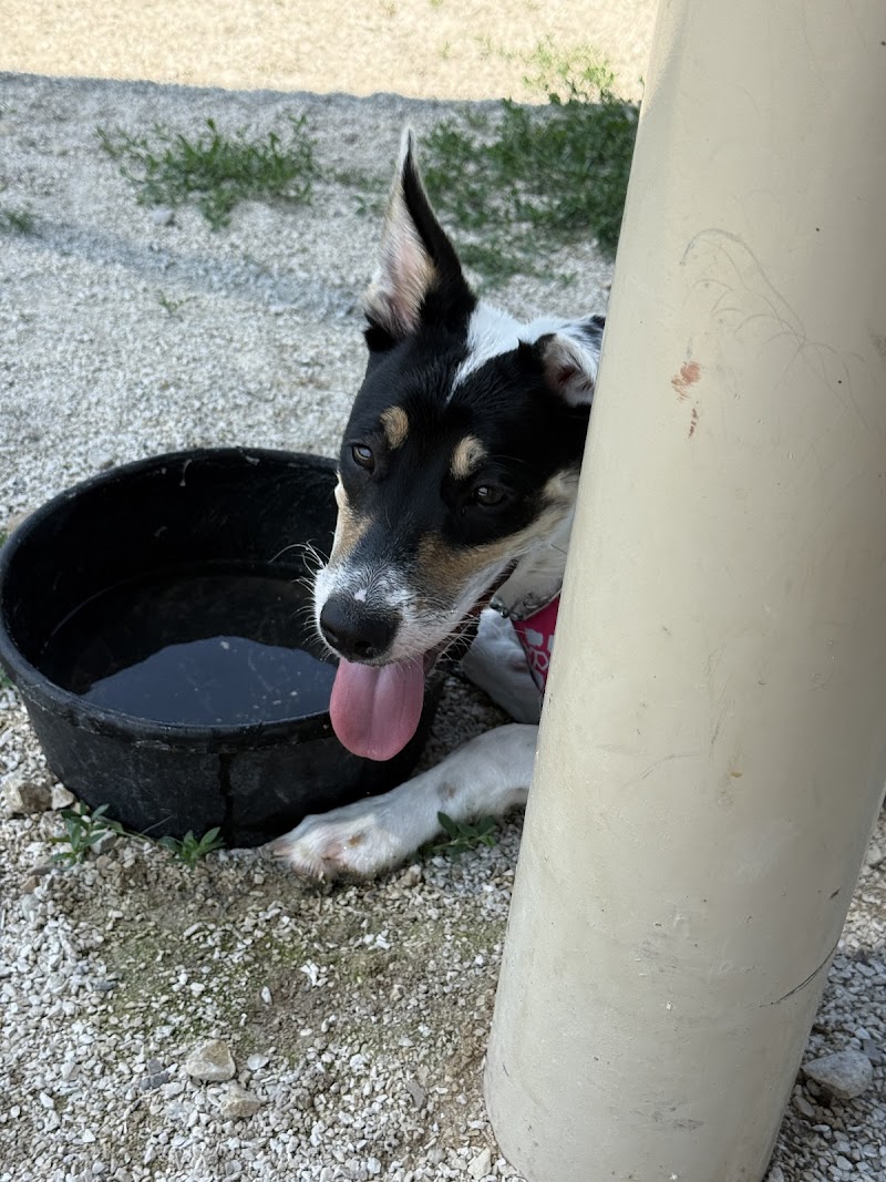 Hound Town Dog Park - Crystal Lake, IL