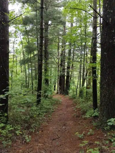Kingdom Come State Park - Cumberland, KY