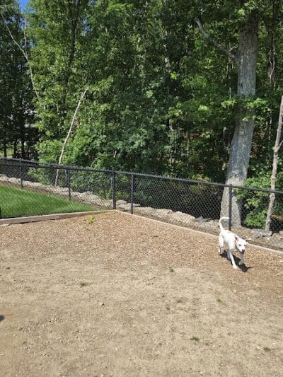 Dog Park - Cumberland, RI