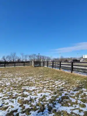 Cynthiana Dog Park - Cynthiana, KY