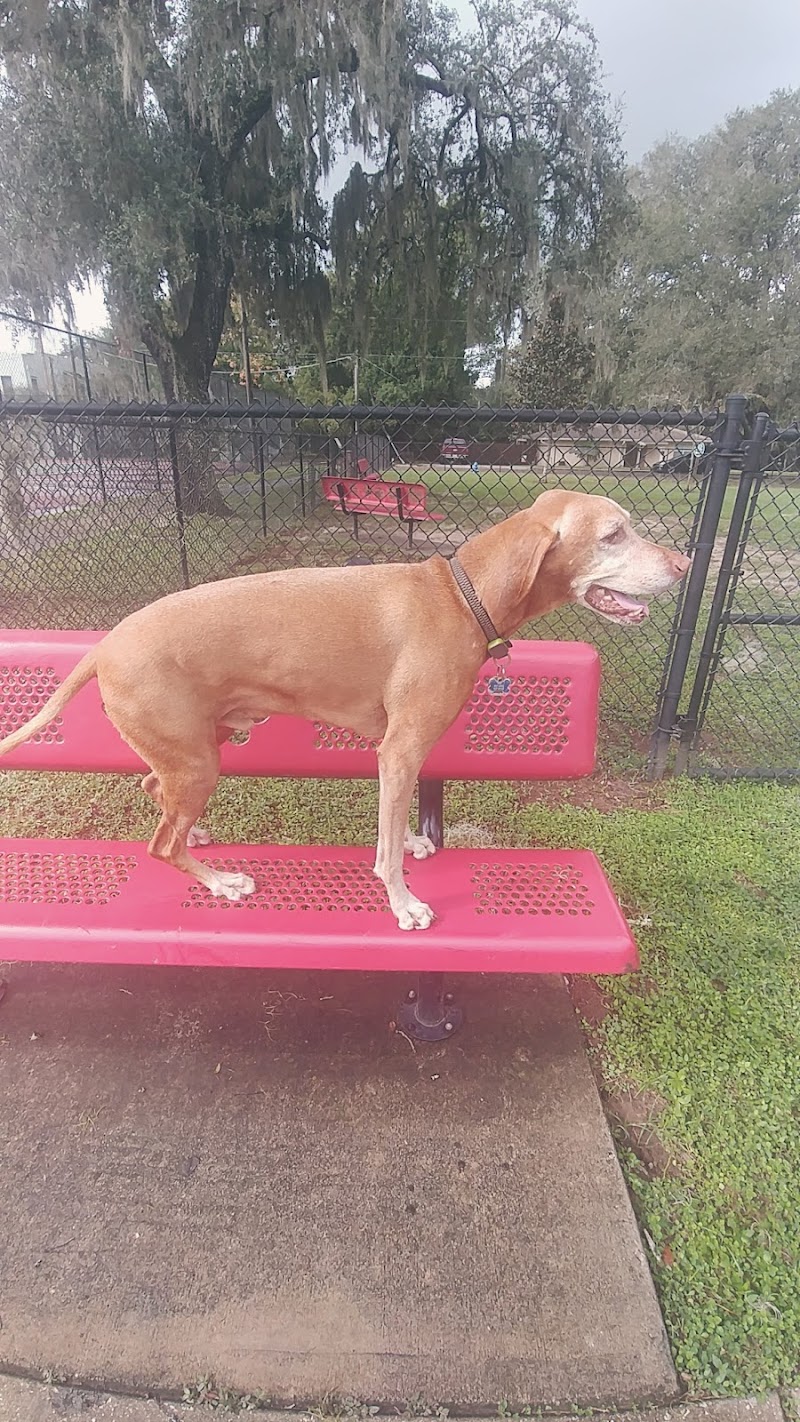 Dade City Dog Park - Dade City, FL