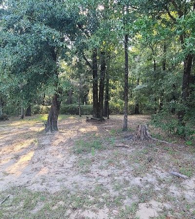 Dog Park Dale. - Daleville, AL