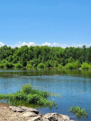 Dallas City Park