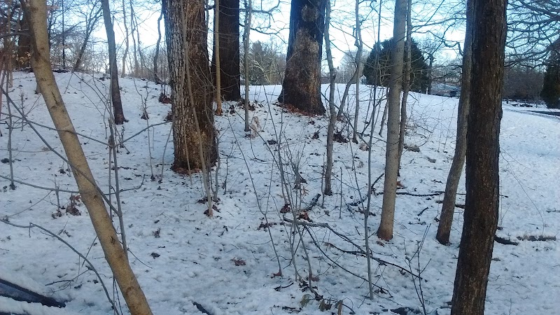 Baker Park - Darien, CT
