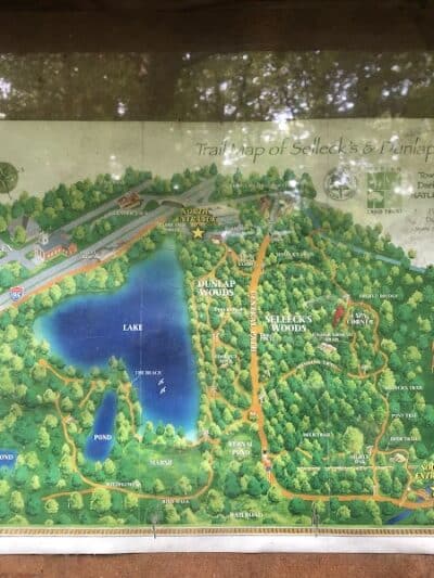 Dunlap Woods (Darien Land Trust) - Darien, CT