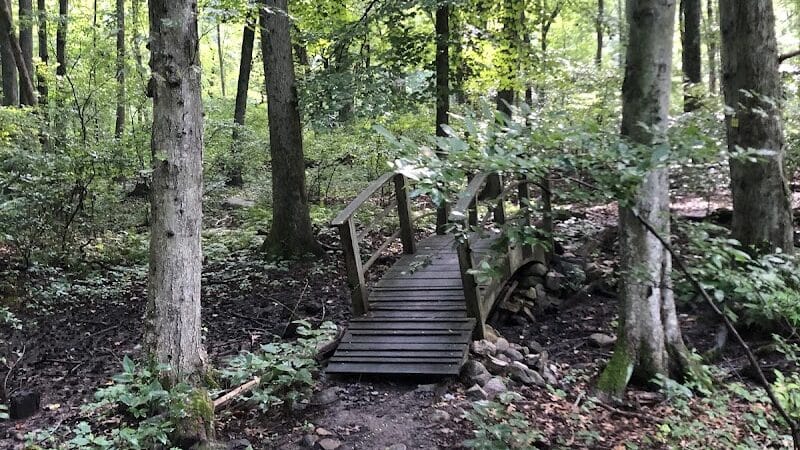 Dunlap Woods (Darien Land Trust) - Darien, CT