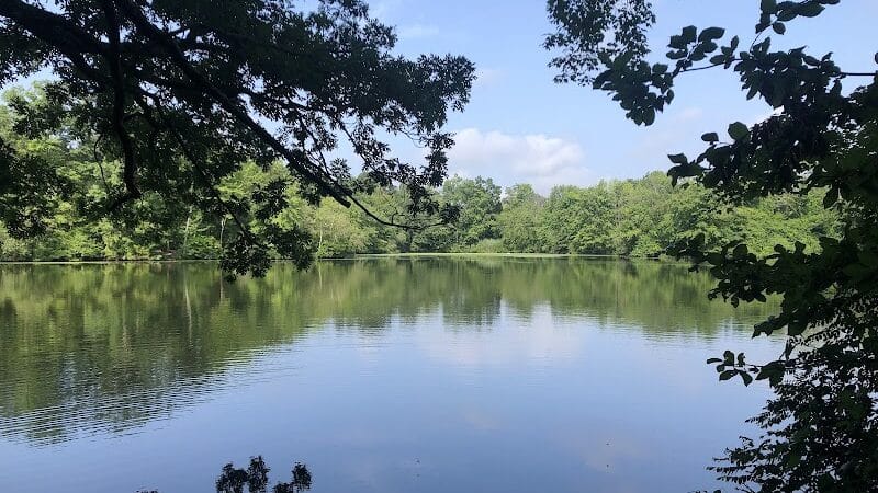 Dunlap Woods (Darien Land Trust) - Darien, CT