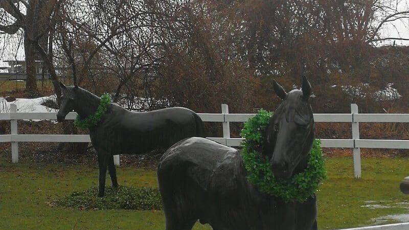 Highland Farm/ Caballos - Darien, CT