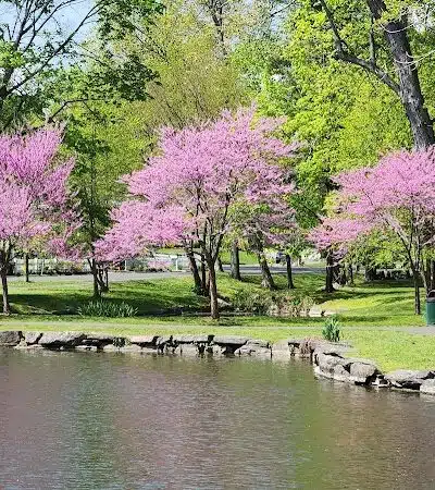 Tilley Pond Park - Darien, CT