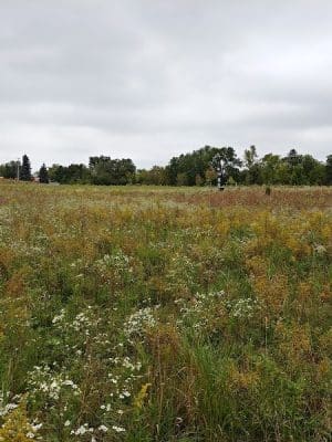 Oldfield Oaks Dog Park