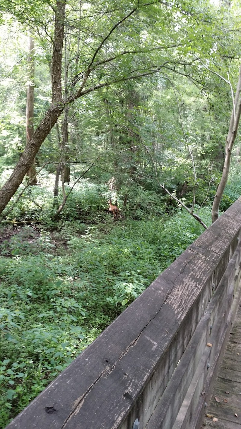 Williamson Park - Darlington, SC