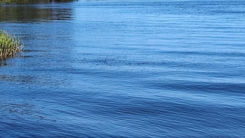Northeast Regional Park - Davenport, FL