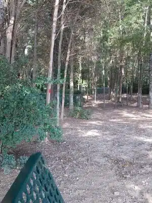 The Preserve Dog Park