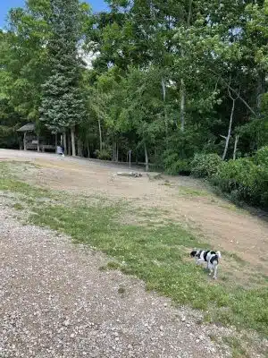 The Preserve Dog Park