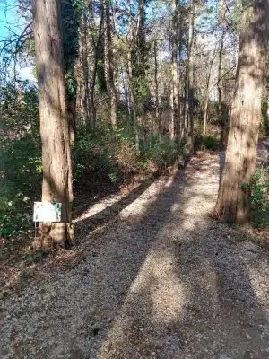 The Preserve Dog Park