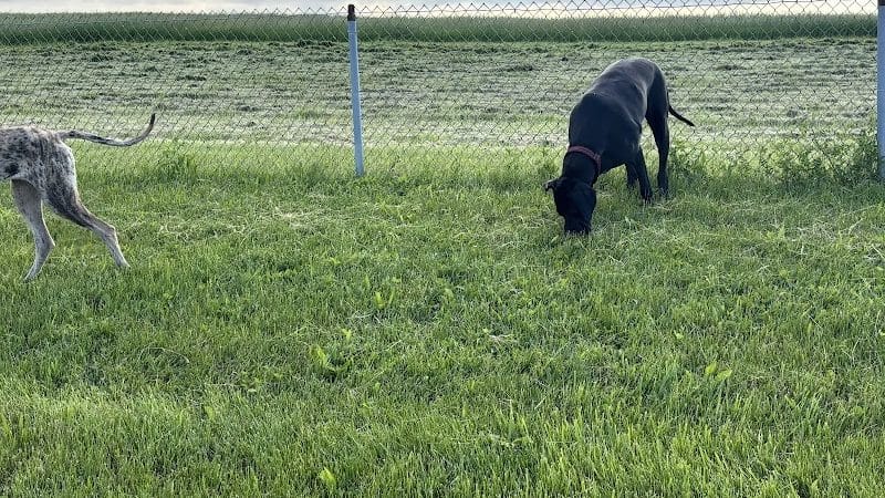 Montgomery County Bark Park Dayton - Dayton, OH