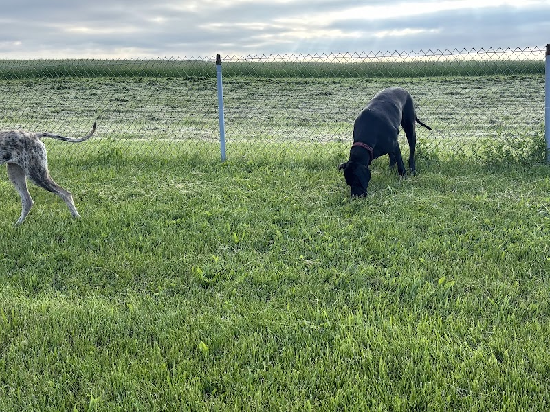 Montgomery County Bark Park Dayton - Dayton, OH