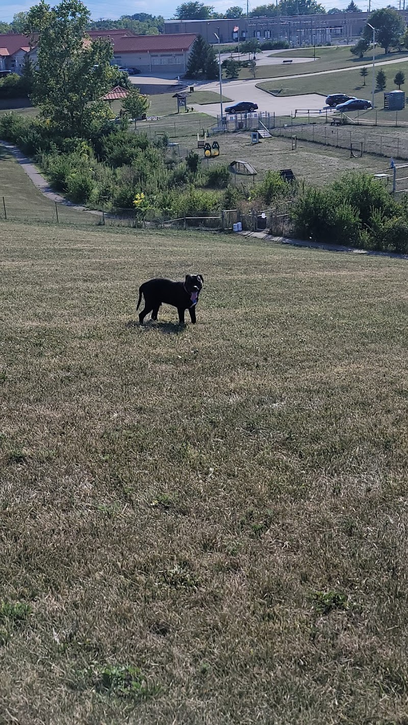 Montgomery County Bark Park Dayton - Dayton, OH