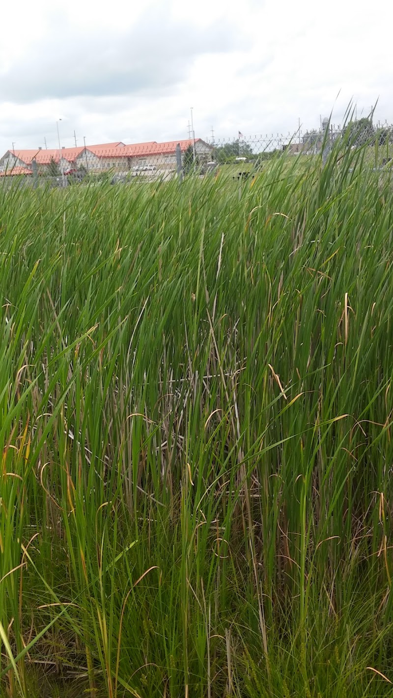 Montgomery County Bark Park Dayton - Dayton, OH