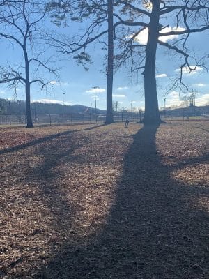 Dayton Dog Park
