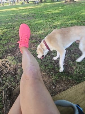 Dayton Dog Park