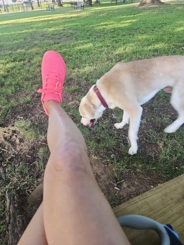 Dayton Dog Park