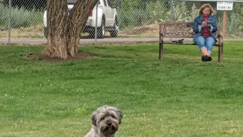 Dayton Dog Park - Dayton, WA