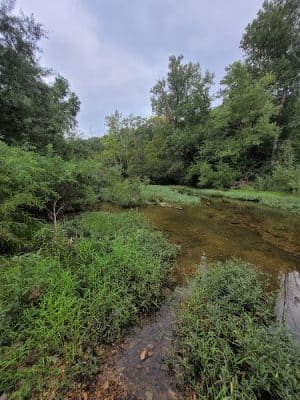 Ritcher Park