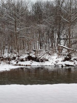 Walther Park