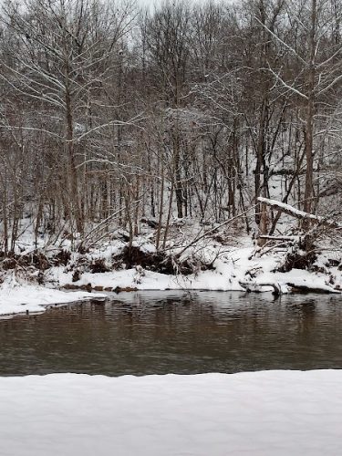 Walther Park
