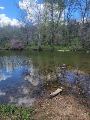 Walther Park