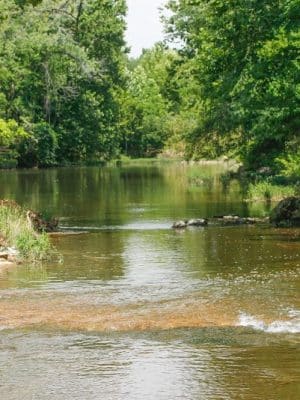 Walther Park