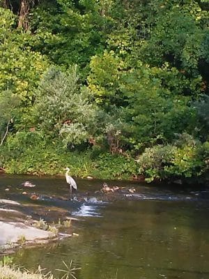 Walther Park