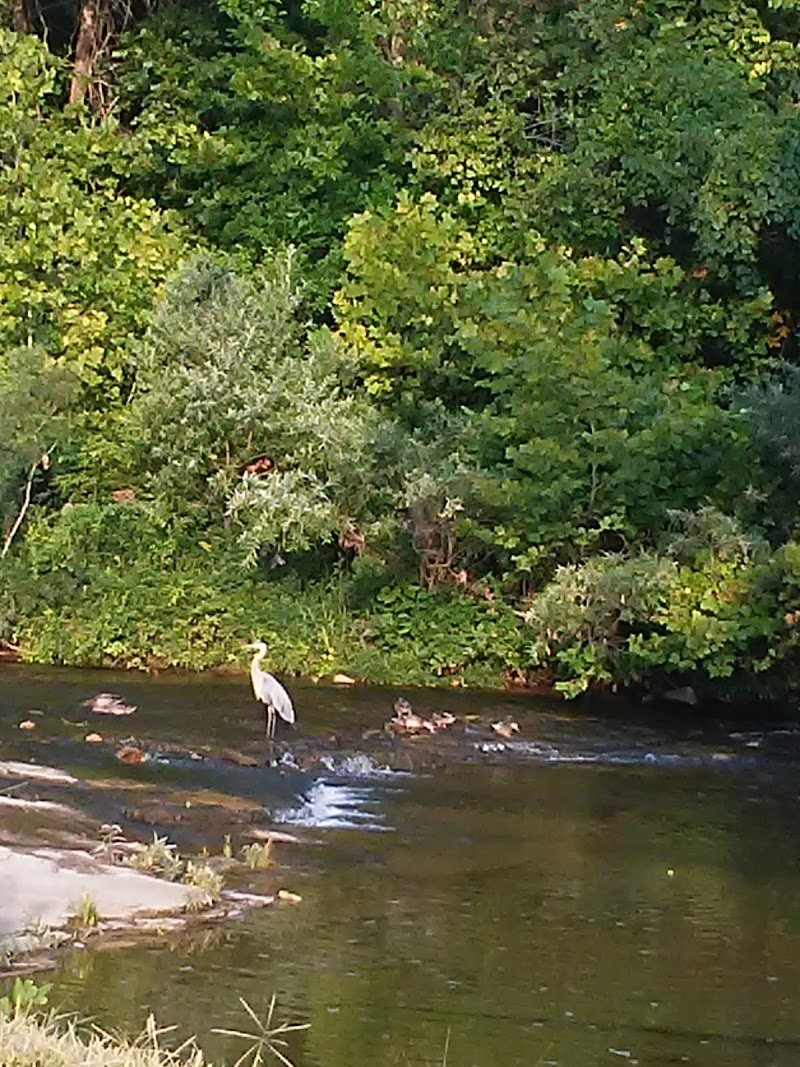 Walther Park - De Soto, MO
