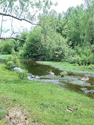 Walther Park