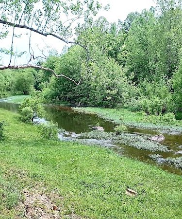 Walther Park