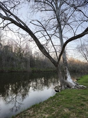 Walther Park