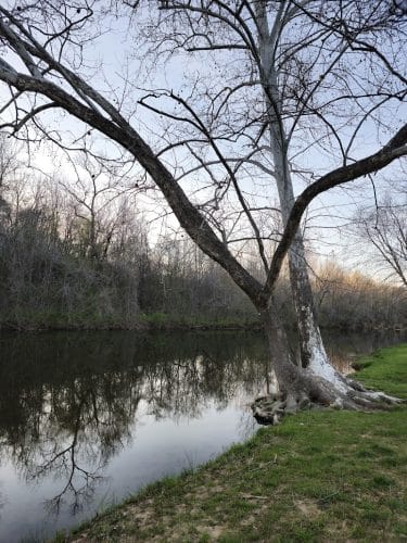 Walther Park