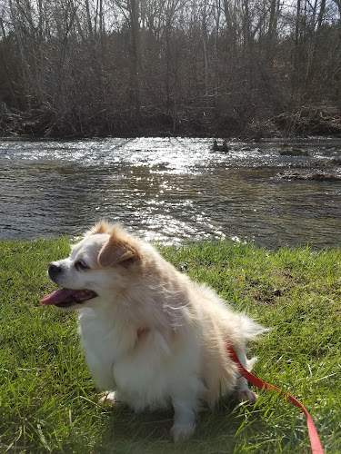 Walther Park