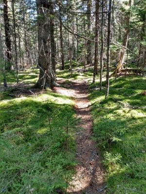 Edgar M. Tennis Preserve